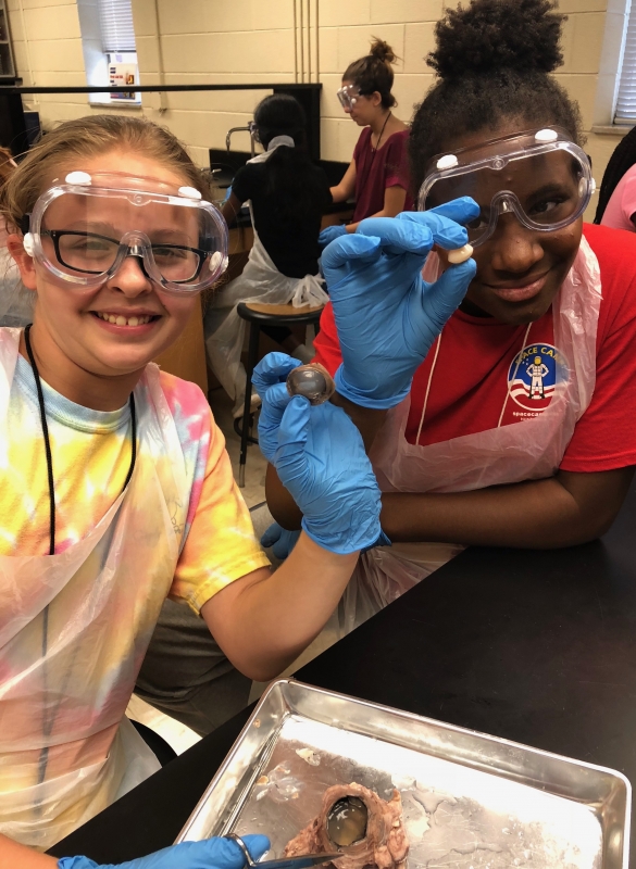 KIDS Club participants in a biology lesson